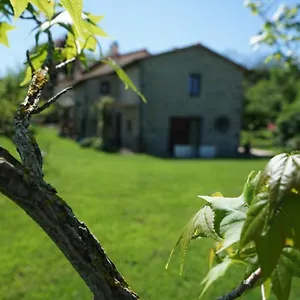  Bed & Breakfast Castagna Dulcis